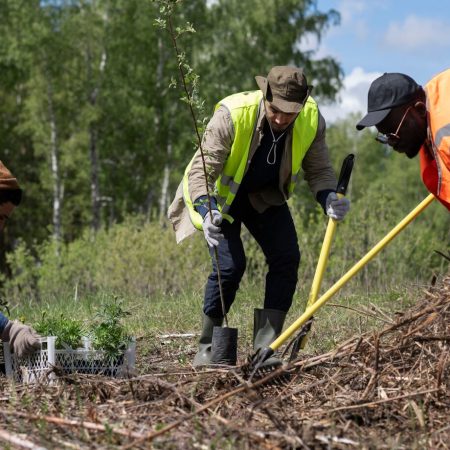 reforestation-done-by-voluntary-group_23-2149500812